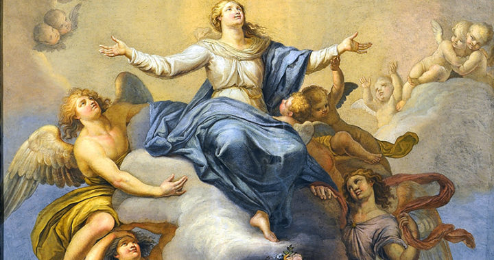 August 15th 2017 The Solemnity of the Assumption of the Blessed Virgin Mary