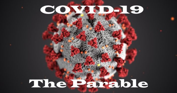 Why COVID-19 Is A Parable That Exposes An Illusion